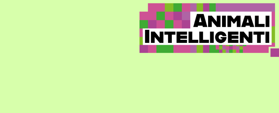 ANIMALI INTELLIGENTI 2025